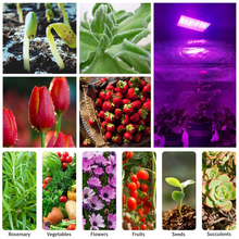 Load image into Gallery viewer, A variety of high-power white panel LED plant lamps can be UV and IR dimmed, and a variety of spectra can be selected and customized
