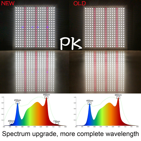 Effect of spectrum on plants