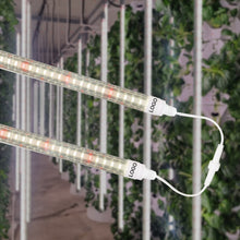 Load image into Gallery viewer, Liweida 60cm 24in plant grow light led t8 tube light smd 2835 led chip full spectrum strips lettuce greenhouse indoor grow lamp
