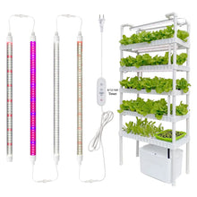 Load image into Gallery viewer, Liweida 60cm 24in plant grow light led t8 tube light smd 2835 led chip full spectrum strips lettuce greenhouse indoor grow lamp
