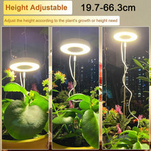 Load image into Gallery viewer, Liweida 6W mini garden height adjustable USB change spectrum angle ring lamp full spectrum plant grow indoor light for plants
