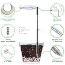 Load image into Gallery viewer, Liweida 6W mini garden height adjustable USB change spectrum angle ring lamp full spectrum plant grow indoor light for plants
