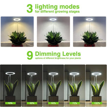 Load image into Gallery viewer, Liweida 6W mini garden height adjustable USB change spectrum angle ring lamp full spectrum plant grow indoor light for plants
