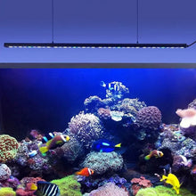 Load image into Gallery viewer, Liweida 8/10/12H timing lights fish tank light led aquarium 60 90 120 150 cm bar grow light dimming led aquarium lamp
