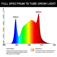 Load image into Gallery viewer, Liweida daisy chain 576w 60w grow light kits 0.6m full spectrum led grow light t8 hydroponic system 8/12/16H for indoor plants
