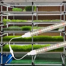 Load image into Gallery viewer, Liweida 0.6m 2ft full spectrum t8 led tube grow light parallel and series IP65 strip plant lamp for vegetable and tissue culture
