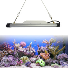 Load image into Gallery viewer, Virified China Supplier Red Blue White LED Aquarium Lamp 6000K Cold White Led Aquarium Light Bar for Fish Tank and Aquatic Plant
