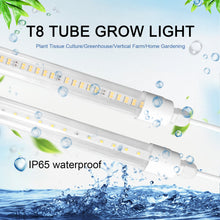 Load image into Gallery viewer, Liweida 60cm 24in plant grow light led t8 tube light smd 2835 led chip full spectrum strips lettuce greenhouse indoor grow lamp
