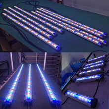 Load image into Gallery viewer, Virified China Supplier Red Blue White LED Aquarium Lamp 6000K Cold White Led Aquarium Light Bar for Fish Tank and Aquatic Plant
