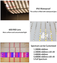 Load image into Gallery viewer, 100W led quantum board plant lamp supporting dimming, suitable for vertical irrigation of agricultural plants
