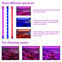 Load image into Gallery viewer, The new double LED plant growth tube red and blue ratio can be adjusted regularly for plant growth.
