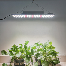 Load image into Gallery viewer, 100W led quantum board plant lamp supporting dimming, suitable for vertical irrigation of agricultural plants
