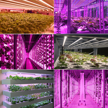 Load image into Gallery viewer, 18W LED plant growth lamp stick 0.3M UV and IR dimming plant bar grow light-Liweida
