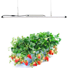 Load image into Gallery viewer, 100W Lm301b led grow light bar horticulture full spectrum led strips for agricultural greenhouses
